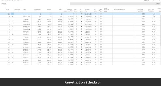 Amortization Schedule