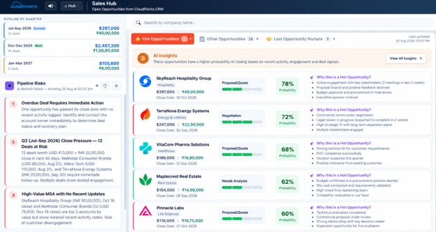 Sales Opportunities review portal showing Pipeline by Quarter, a Pipeline Risks panel and Hot Opportunities with AI Insights